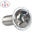 Ss 304 Truss Head Phillips Bolt with Collar